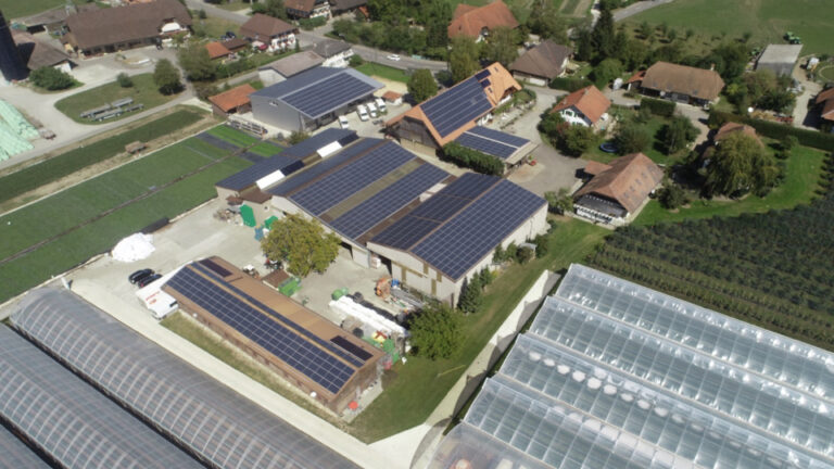 Farm 'Berry Land'