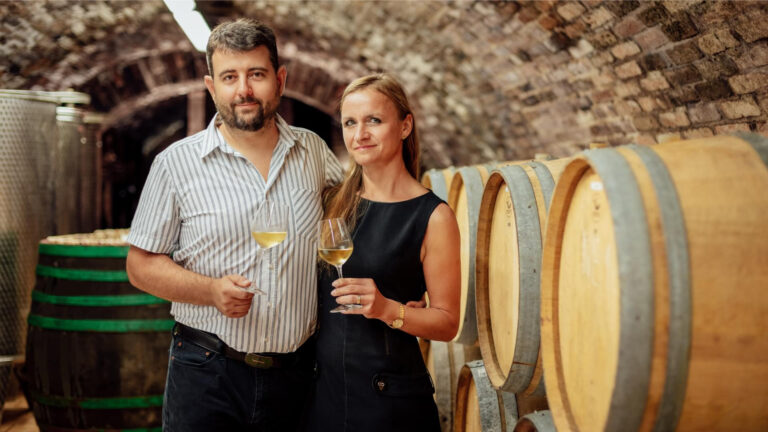 Smart winery and guesthouse