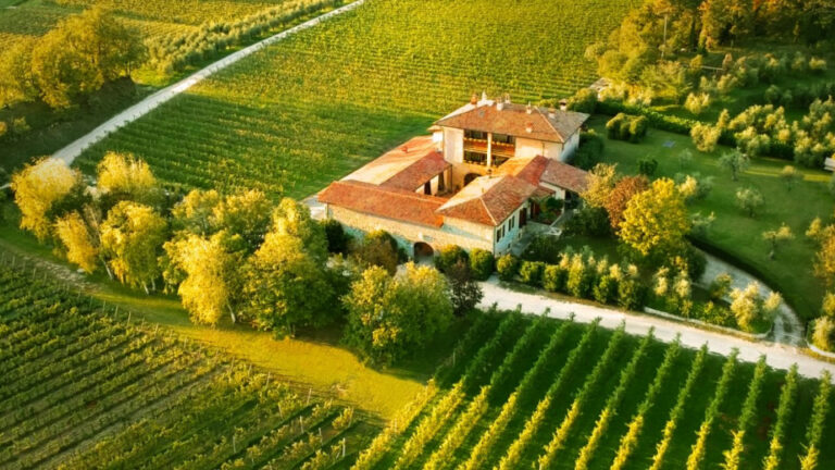 Winery Conti Thun
