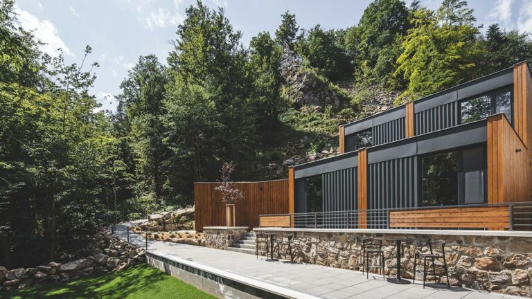 Forest Resort