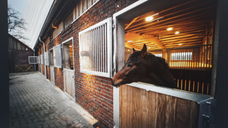 Loxone riding arena