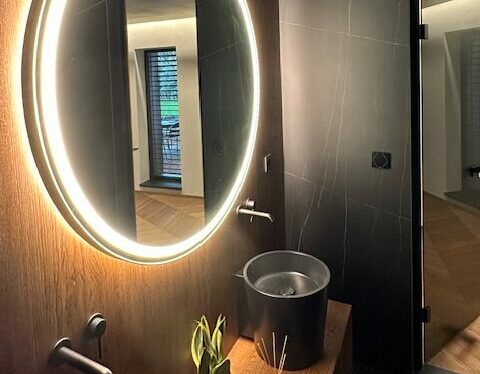 A luxury smart house