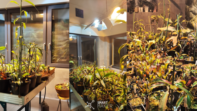 Smart Palm House