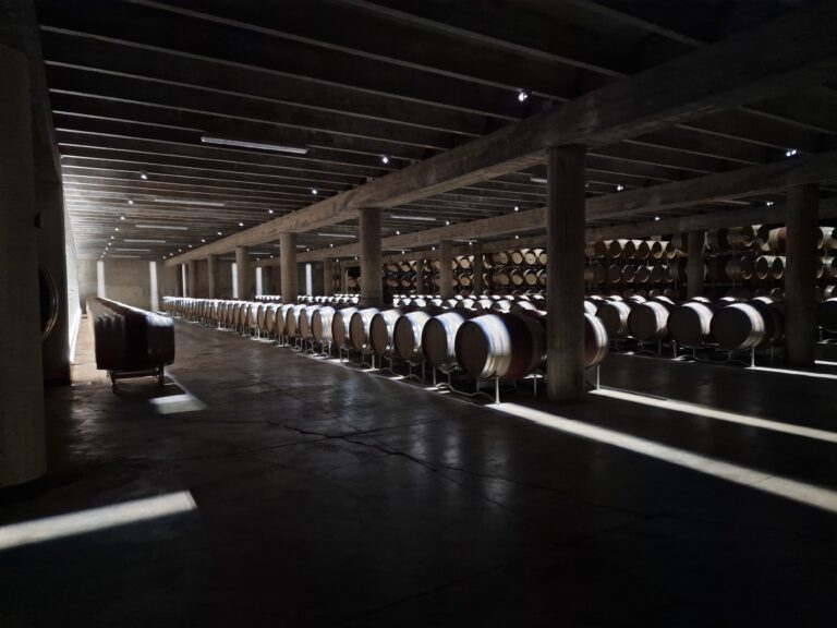 Illuminazione Cantina