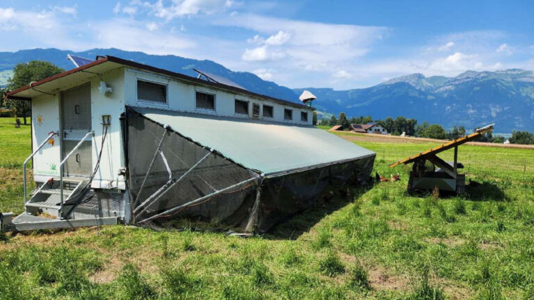 Innovative chicken coop