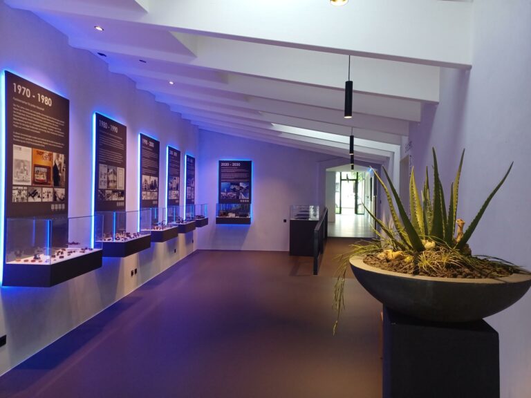 Experience Magnetism Gallery