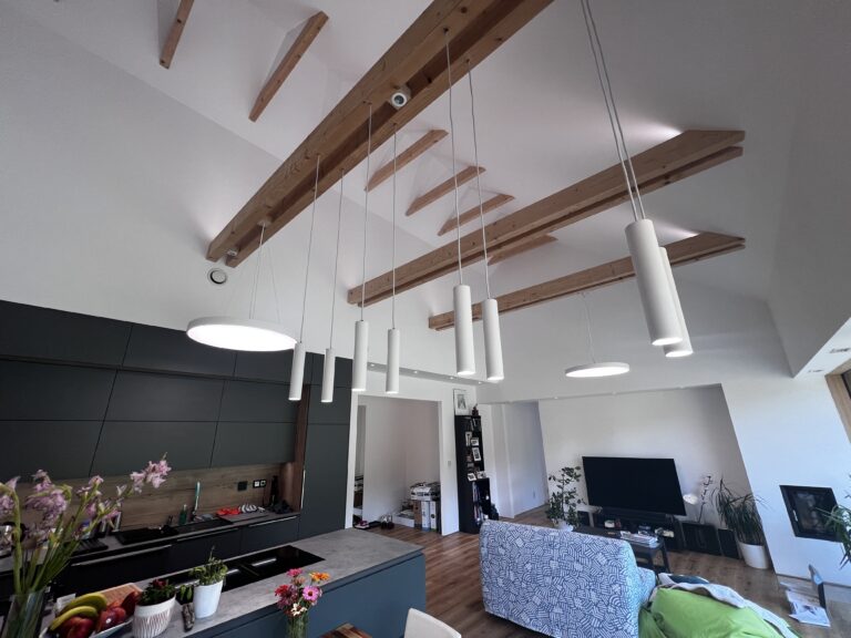 Wooden family house in Prague