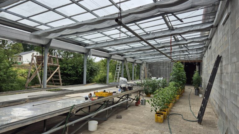 Greenhouse control