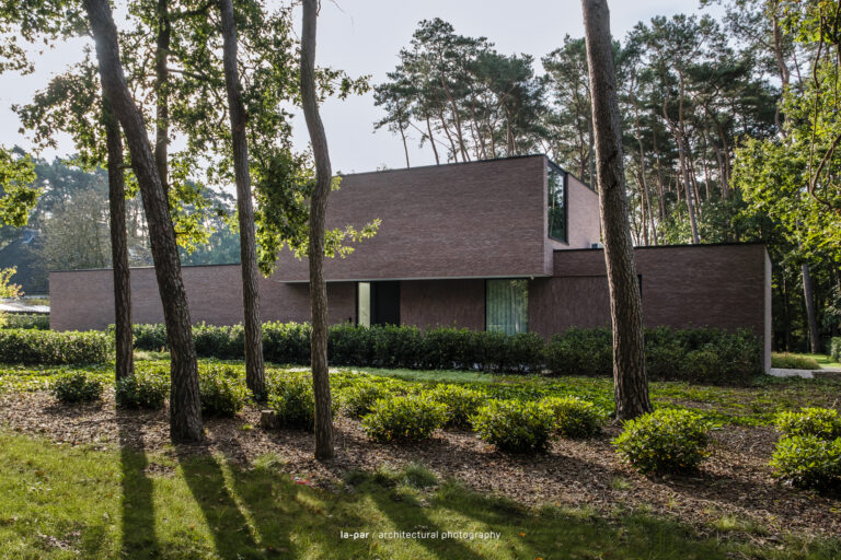 Bricks in the Forrest