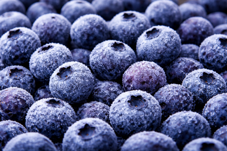 Solex Agro: Smart freezer