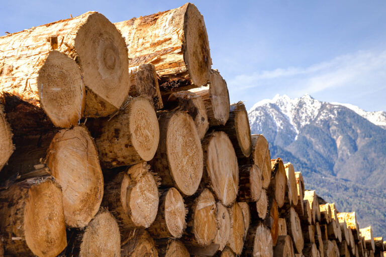 Rainoldi Legnami: Remote Monitoring of a Biomass Plant